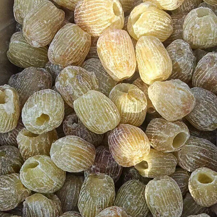 包粽子蜜枣无核蜜饯干硬蜜枣散装即食煲汤端午节无核蜜枣批货