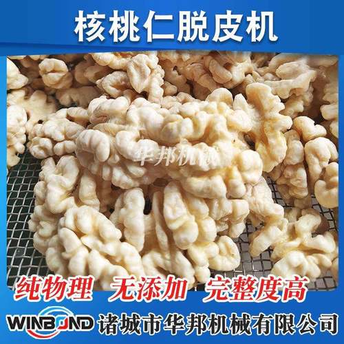 核桃仁物理脱衣机去DJE洗 核桃仁不锈钢去皮清机 巴纯旦木皮设备