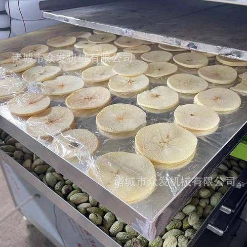 石脱斛冻干机中材柿子药真10平空冻干机 水果水冷冻干 设备