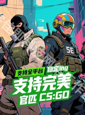 cs2全能5e/官匹/完美世界/b5/r0平台DMA辅导协助神奇换肤的魔法家