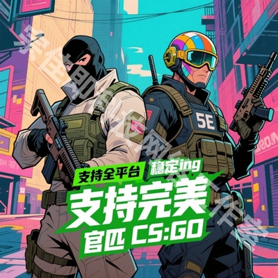 cs2全能5e/官匹/完美世界/b5/r0平台DMA辅导协助神奇换肤的魔法家