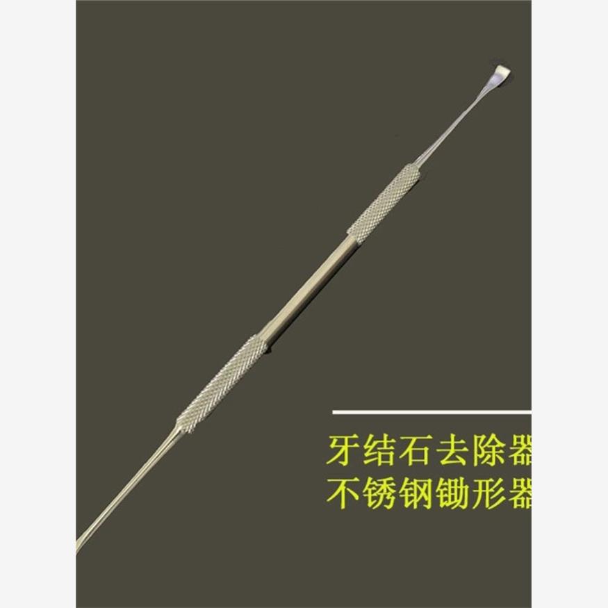 去除牙垢洗牙器除牙石探针不锈钢牙齿清洁工具除牙垢牙结石用成人