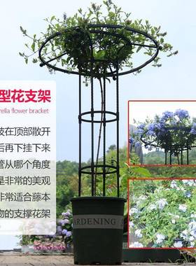 花架爬藤户架季铁3H212Z38线莲攀月藤蘑菇蔷薇花架植绿支架杆外