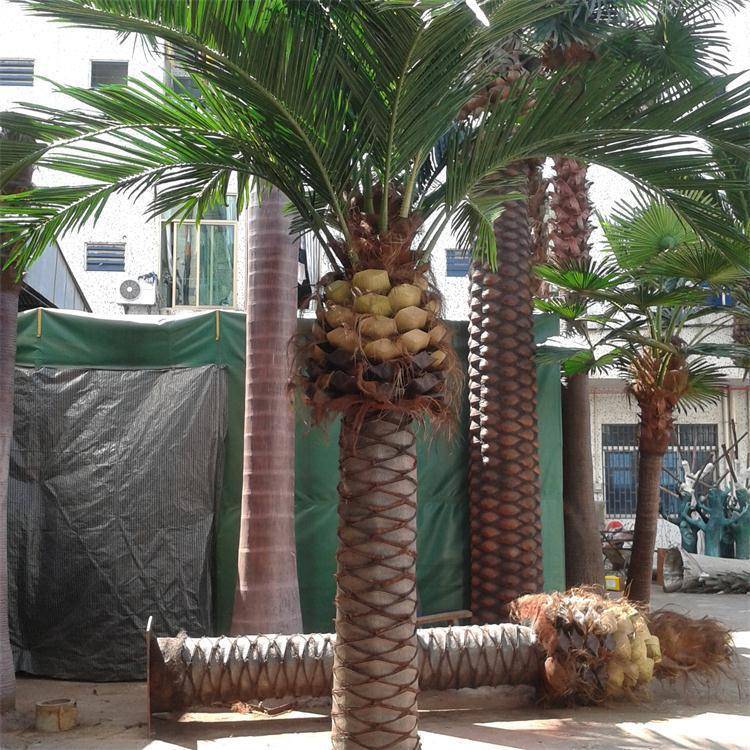 仿真植物厂家直销人造海大藻树海枣树量PMI室内海藻树