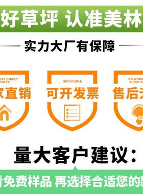 人造草TLS塑料仿真铺垫假绿植幼儿园坪人工草皮户饰绿色地毯围外