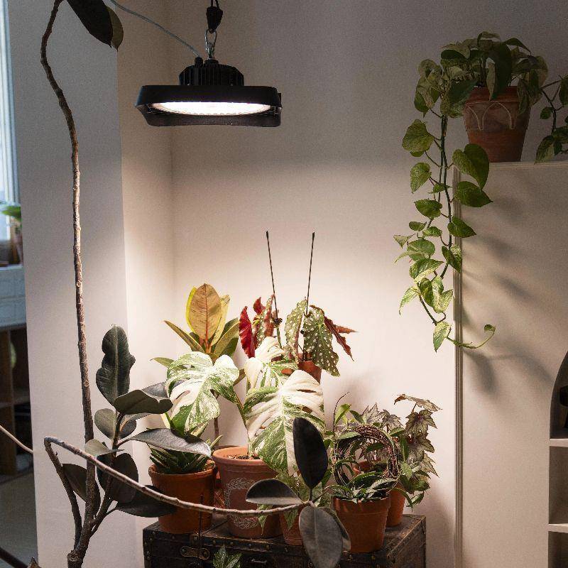 全光谱院吊灯庭灯家卉用CAO防花园阳台植物补光灯多肉花照水明灯