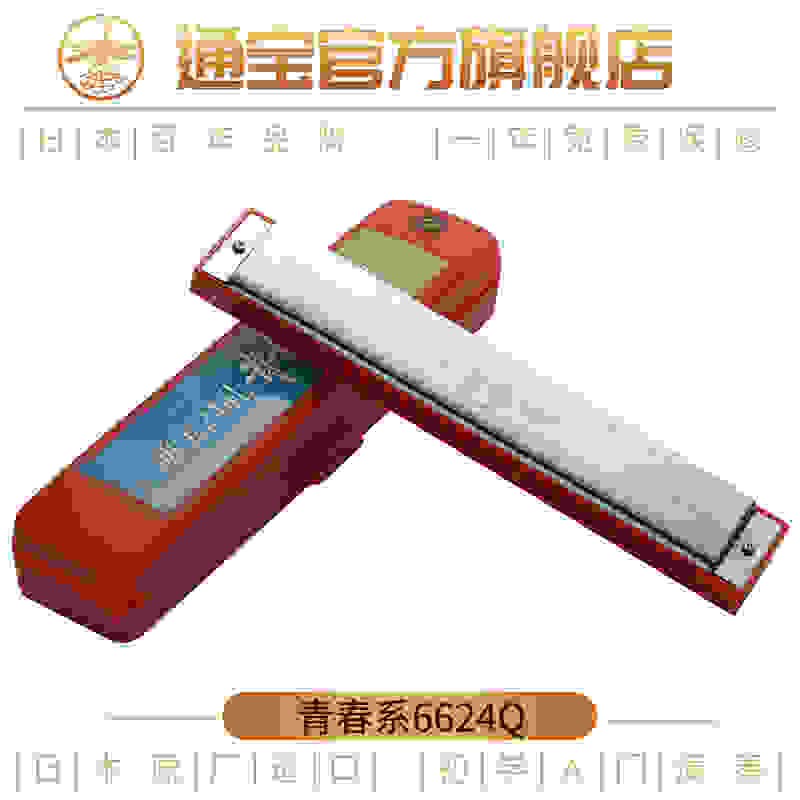 日本TOMBO通宝新款24孔复音口琴学生新手教学入门进阶青春版6624Q