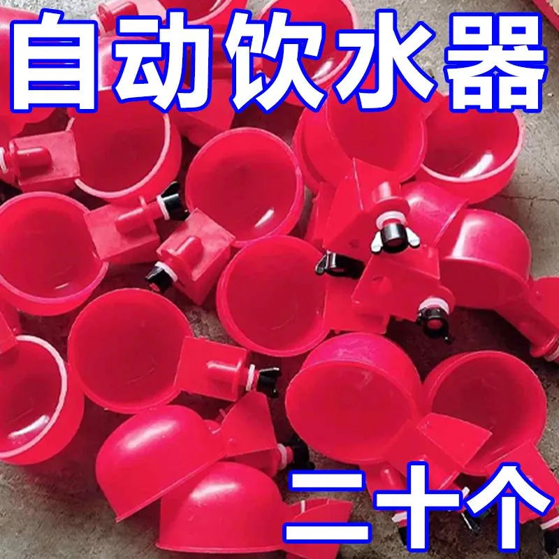 大号加厚家禽饮水器通用养殖新款喂鸡鸭鸽子自动饮水碗智能喂养器