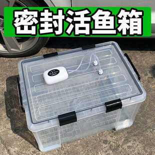 户外车载后备箱活鱼桶加厚大号塑料箱密封运鱼水箱野钓装鱼周转箱
