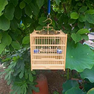 鸟笼竹子方笼绣眼玉鸟黄雀笼太保铜钩适合贝子珍珠黄腾鸟小型鸟