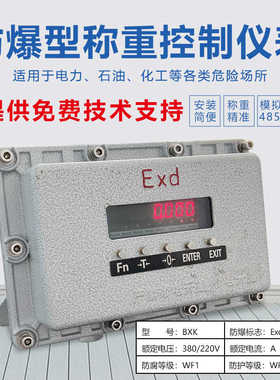 金威士XK3101防爆称重控制仪表定量控制配料包装秤485/232输出