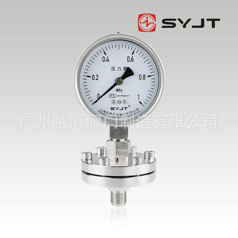上仪集团 Y-100BF-ML螺纹安装隔膜压力表