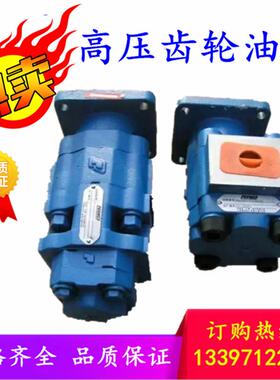 2方铲运机用齿轮泵1115042717