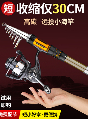 一将达瓦迷你小海竿抛竿远投竿全套短节鱼竿甩杆超硬海杆路亚裸竿