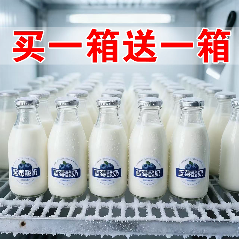 蓝莓酸奶268ml*18瓶整箱风味饮料熬夜加班叶黄素酯早餐营养酸奶