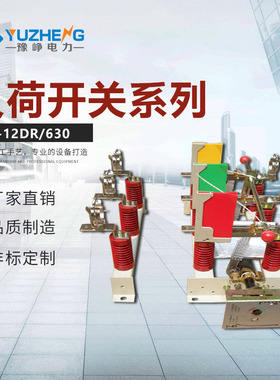 FN7-12/630-31.5 FN7-12RD/400A-20户内10KV负荷断路器 挂墙式