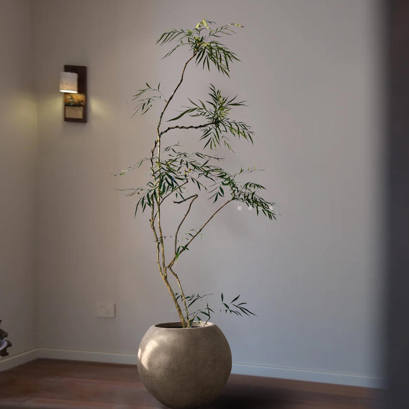 十大功劳盆栽新中式禅意绿植轻奢风客厅落地植物侘寂风造型氛围树