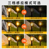 太阳能户外灯家用庭院造景氛围z灯花园装 饰路灯人体感应地插草坪