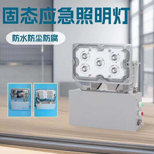 NFC9178固态应急照明灯15W低顶灯LED配电房走廊地沟应急灯GAD605