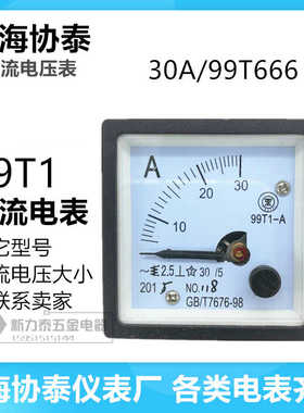 上海协泰交直流电流电压表99T1 30A GB/T7676-98（99T666）指针式