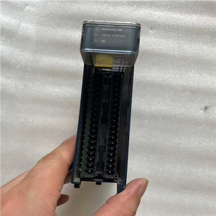 憨憨电子 IC695ALG704 者 成色如图所示 功能