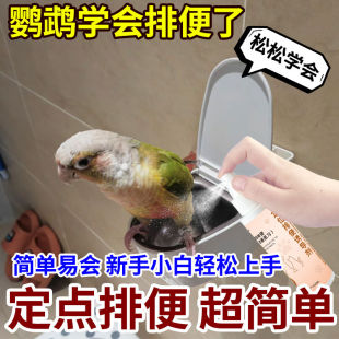 鹦鹉定点排便诱导剂防止乱拉鸟类站架垃圾桶上厕所神器玄风虎皮用