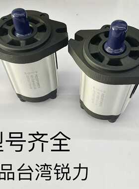 原装进口台湾锐力油泵泵头REXPOWER液压齿轮泵RGP-F323/325/328R