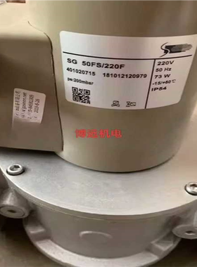 SG50FS/220施能慢开电磁阀SG65FS/220（咳咳电子）