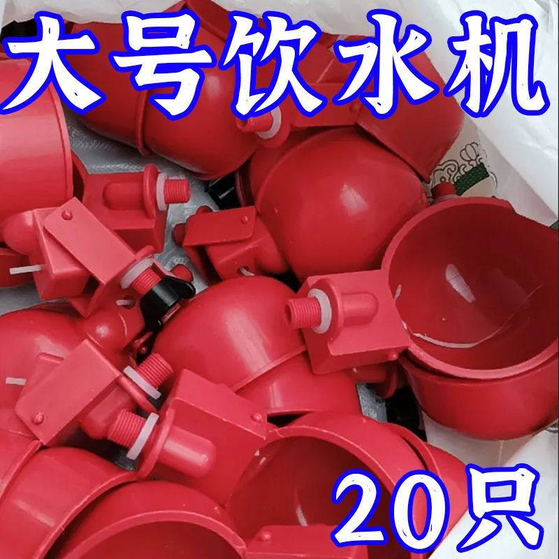 大号家禽饮水器养殖水桶新款喂鸡自动饮水器鸡鸭鸽子自动饮水碗