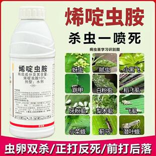烯啶虫胺杀虫剂蚜虫蓟马飞虱小黑飞绿叶蝉白粉虱果树蔬菜花卉农药