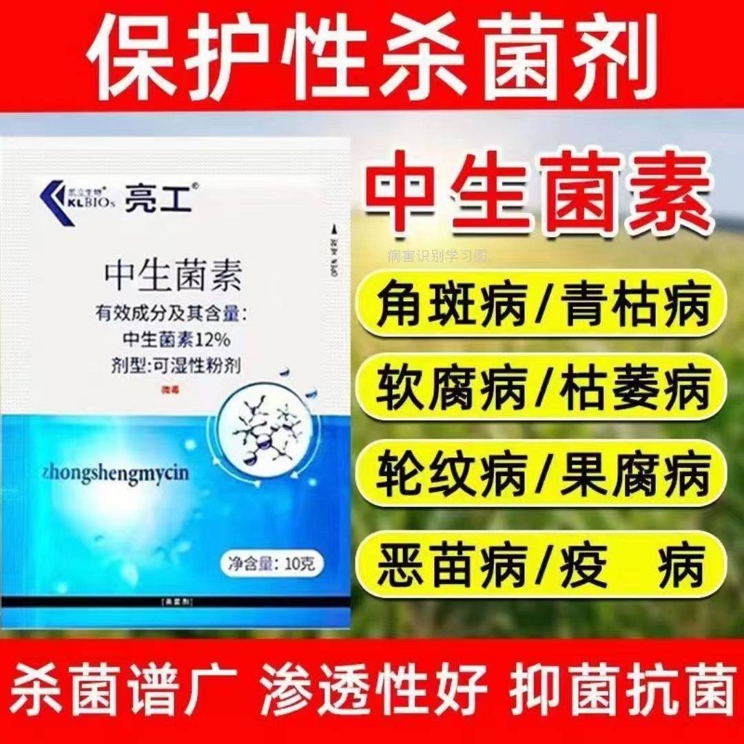 12%中生菌素角斑软腐病青枯病溃疡病叶枯病姜瘟病疫病农药杀菌剂