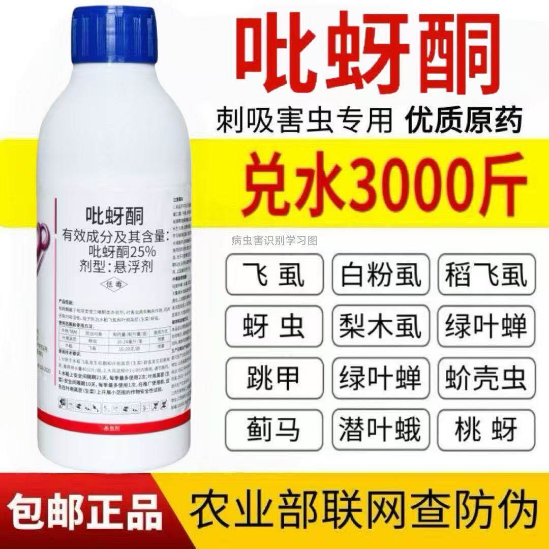 25吡蚜酮蚜虫蓟马飞虱白粉虱绿叶蝉跳甲蚧壳虫果树花卉农药杀虫剂