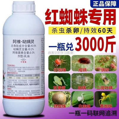 红蜘蛛专用药杀卵杀虫剂阿维哒螨灵锈壁虱果树蔬菜月季花卉杀螨剂