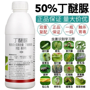 50%丁醚脲绿叶蝉红蜘蛛蚜虫蓟马青虫白粉虱钻心虫果树蔬菜杀虫剂