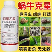 蜗牛药四聚乙醛鼻涕虫福寿螺钉螺果树植物水稻花卉菜地农药杀虫剂