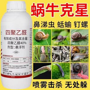 蜗牛药四聚乙醛鼻涕虫福寿螺钉螺果树植物水稻花卉菜地农药杀虫剂