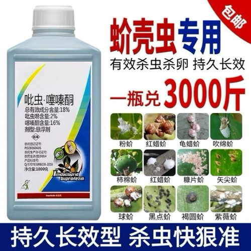 蚧壳虫专用药介壳虫杀虫剂吡虫啉噻嗪酮果树柑橘多肉花卉月季农药