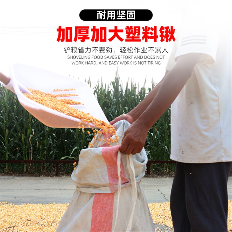 热销钢化塑料锹铲加厚农用工具农具玉米粮食铲雪耐用防裂抗压锹垃