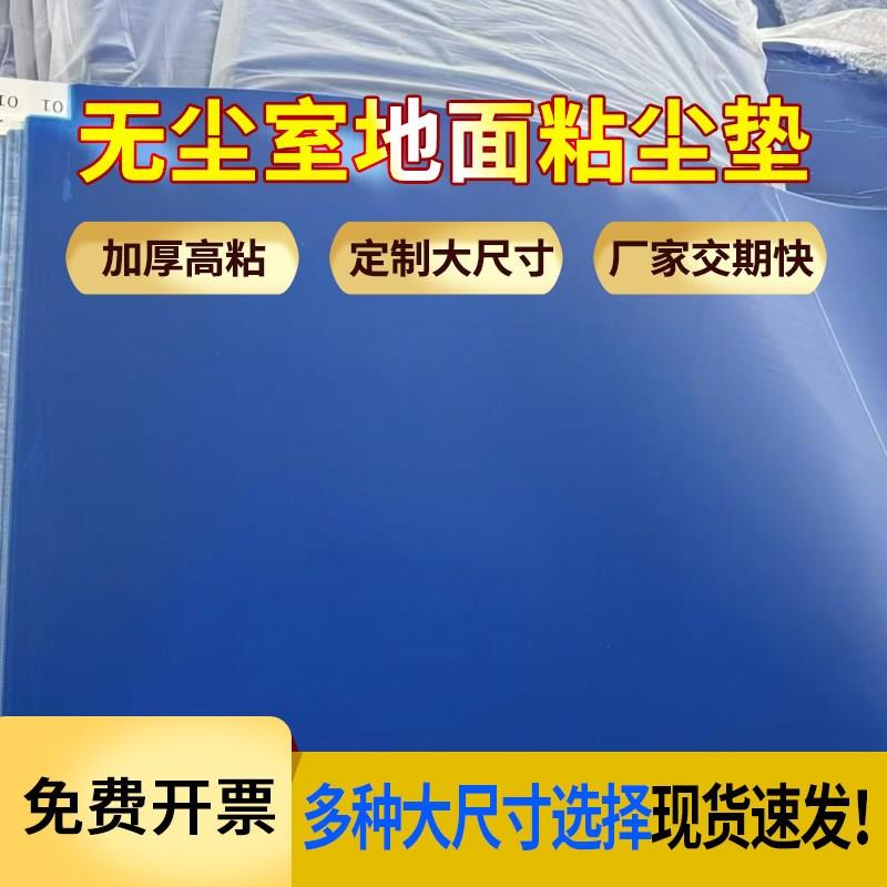 热销无尘车间粘尘垫大尺寸地面粘灰脚垫蓝色一次性风淋室可撕式除