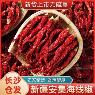 辣皮子新疆特产沙湾安集海线椒干500g袋装拌面干辣椒大盘辣子鸡用