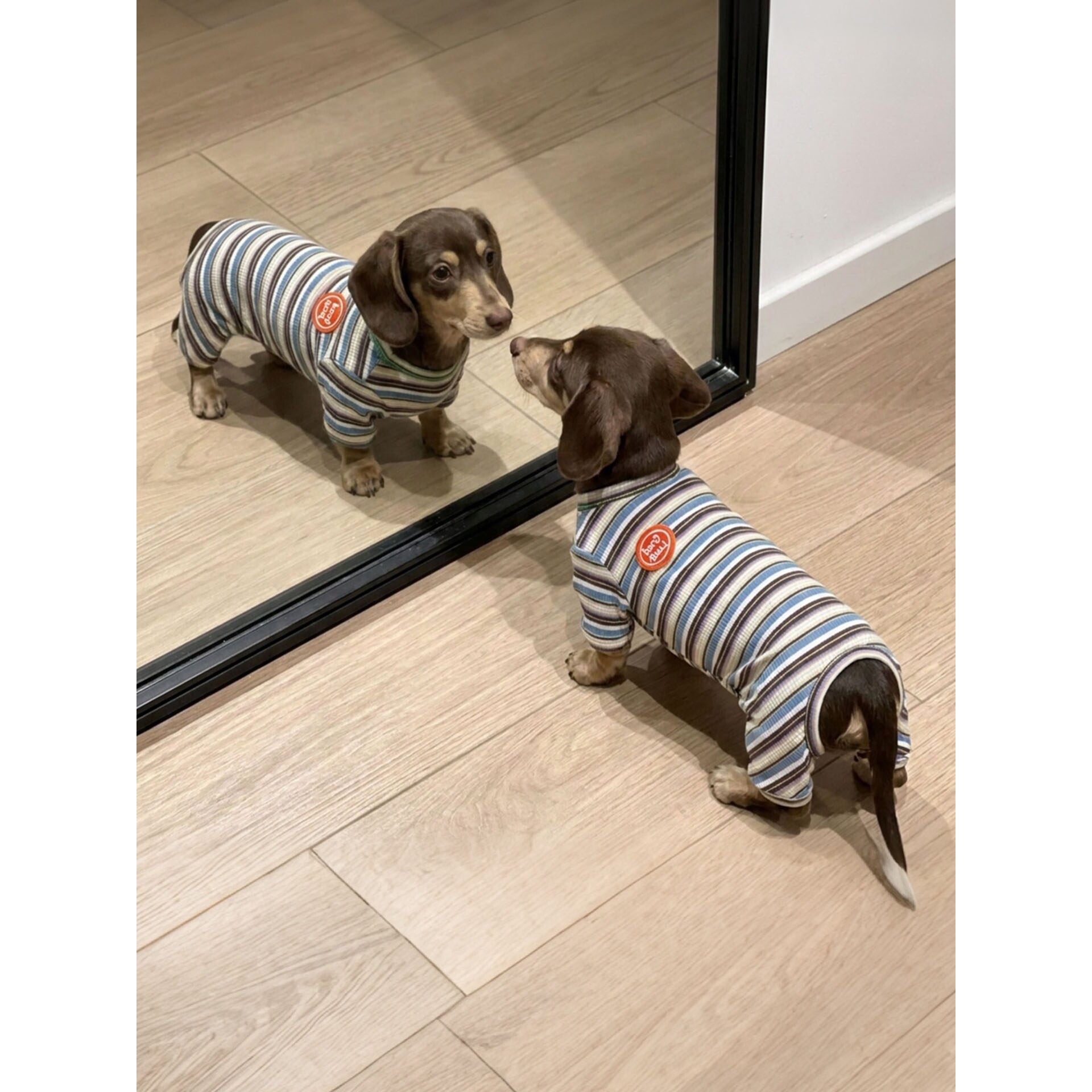 宠物狗狗衣服纯棉小型幼犬比熊泰迪博美四脚睡衣彩条四腿家居服