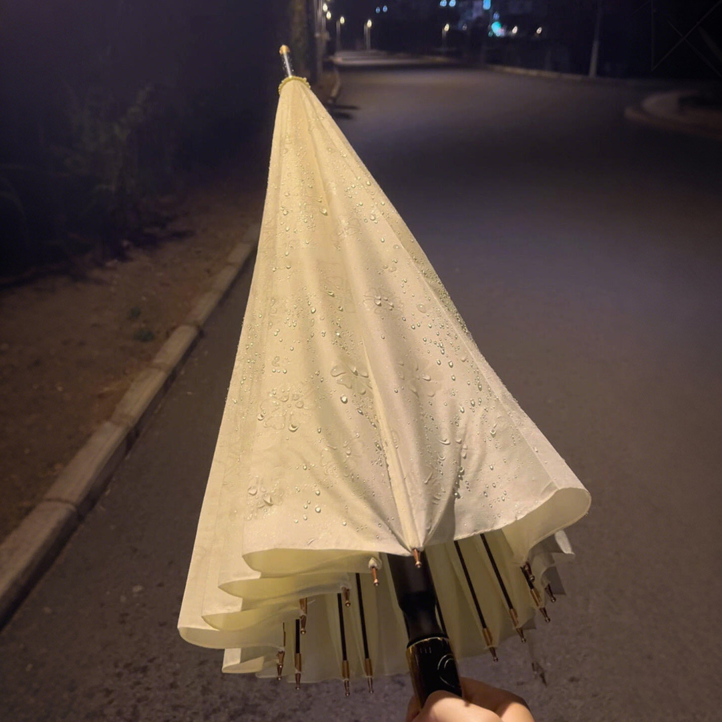 【遇水开花】雨伞女高颜值16骨加大加厚加固长柄伞学生上学专用