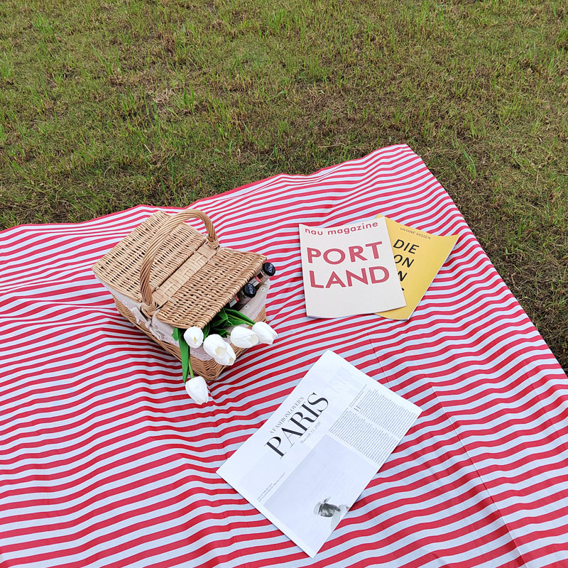 一次性野餐布户外烧烤加厚防潮露营野餐桌布草坪春游沙滩专用垫子