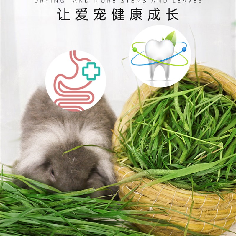 速发提摩西草兔子干草食用兔粮提莫饲料吃的晒干粮食豚鼠猪牧草段