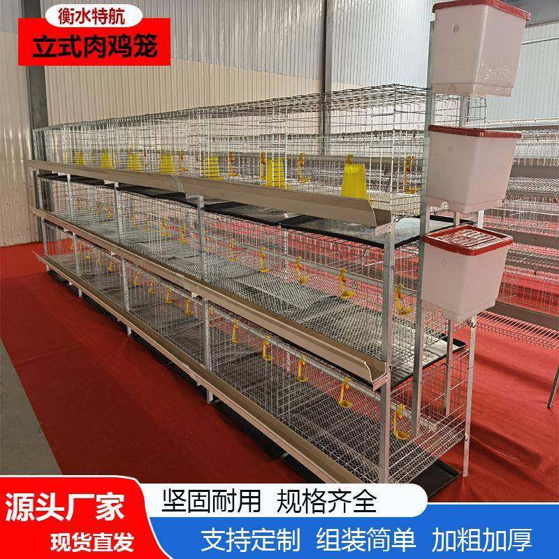 厂家直采立式肉鸡笼镀锌丝防锈鸡笼多种鸡笼设备源头厂家现货,畜牧/养殖物资,特种养殖设备,淘宝优惠券,粉丝福利购,淘宝优惠卷