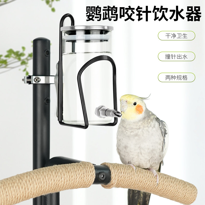 鹦鹉撞针水壶鸟叼饮水器自助喝水嘴玻璃不锈钢盖加大容量升级咬针