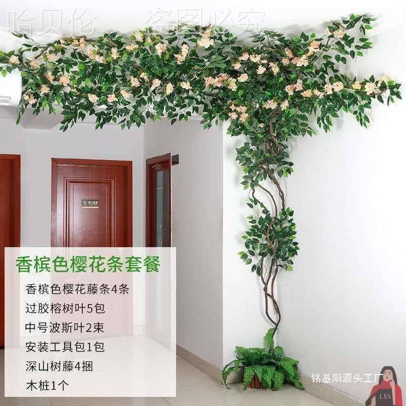 道客厅饰10027589装装藤蔓室内叶管绿植缠绕藤条树藤榕树植物墙绢