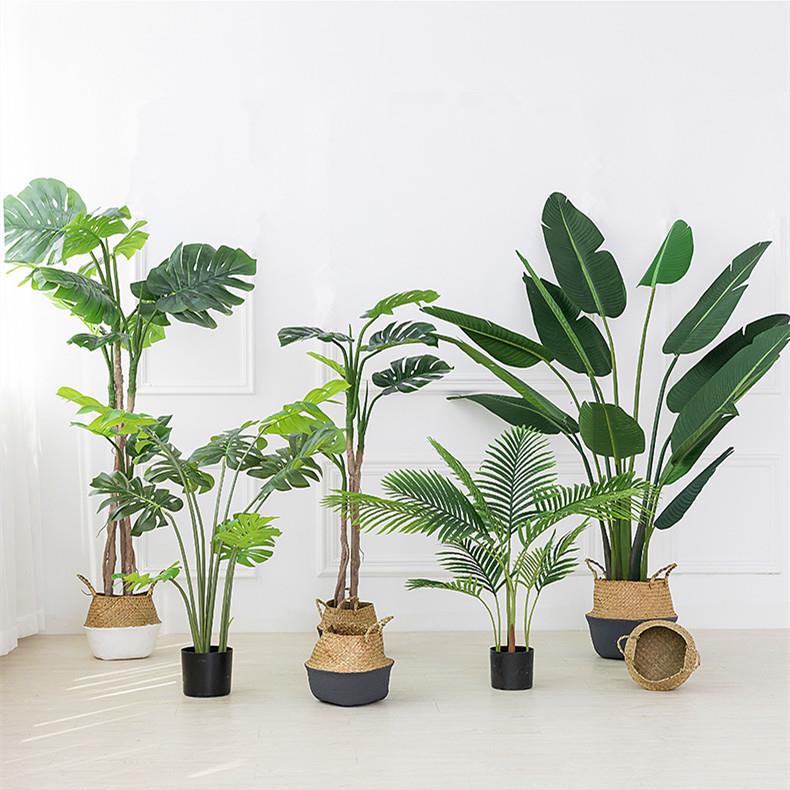 工厂仿真植物人386002蕉摆旅件大型树盆盆栽龟背叶塑料绿景植落地