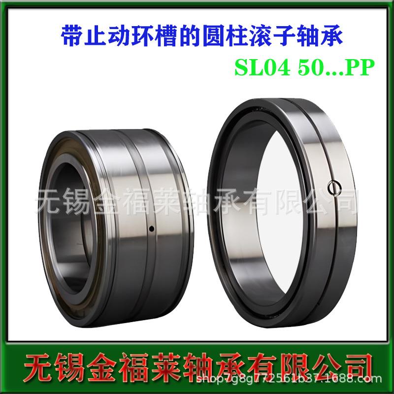 NA轴承IP带止动环槽的双列圆柱TVE滚子轴承SL04019P5轴承现货销售