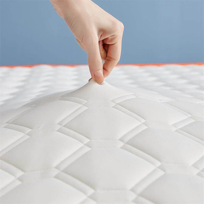 生新款乳胶记棉床垫租房家地铺睡垫学加用厚榻榻米宿舍忆IEX软垫